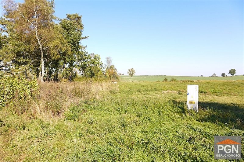 Działka 7000 m² w Trzebieszewie - z warunkami zabudowy Trzebieszewo  7 000m2 Foto 1