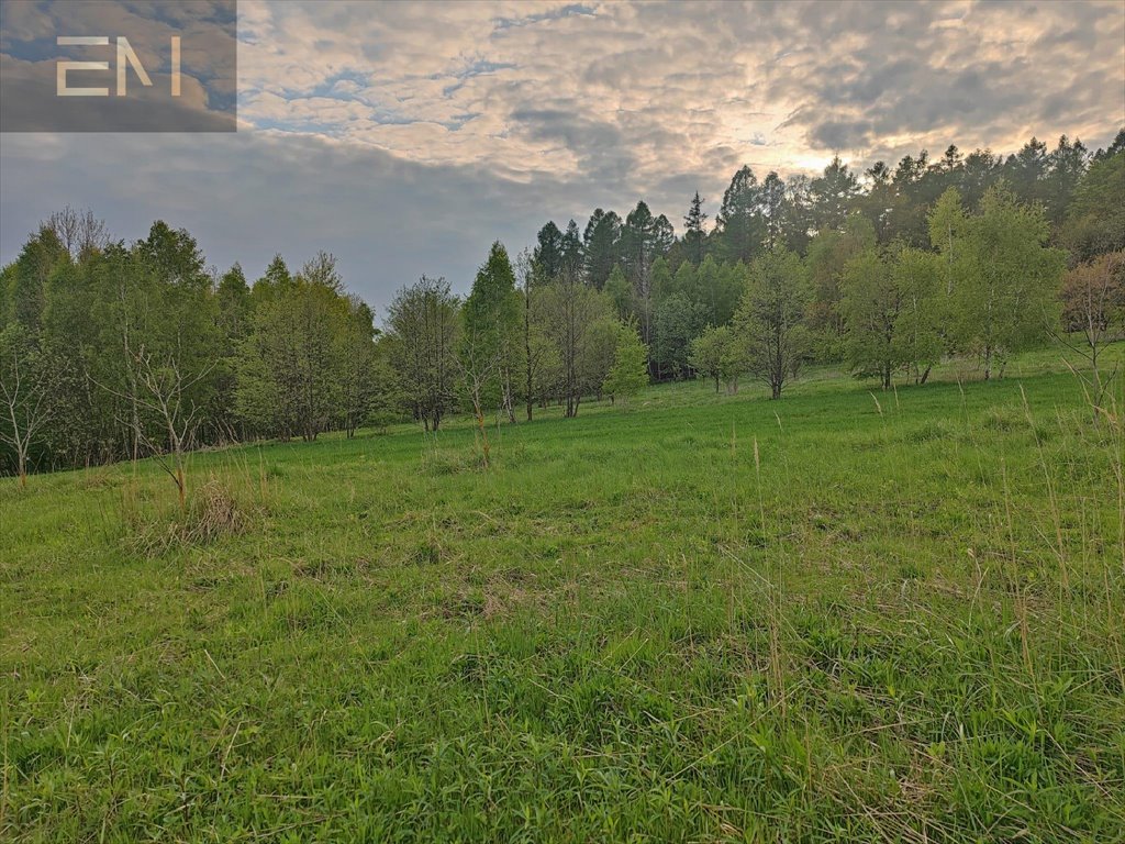 Działka budowlana na sprzedaż Hadle Kańczuckie  3 300m2 Foto 13