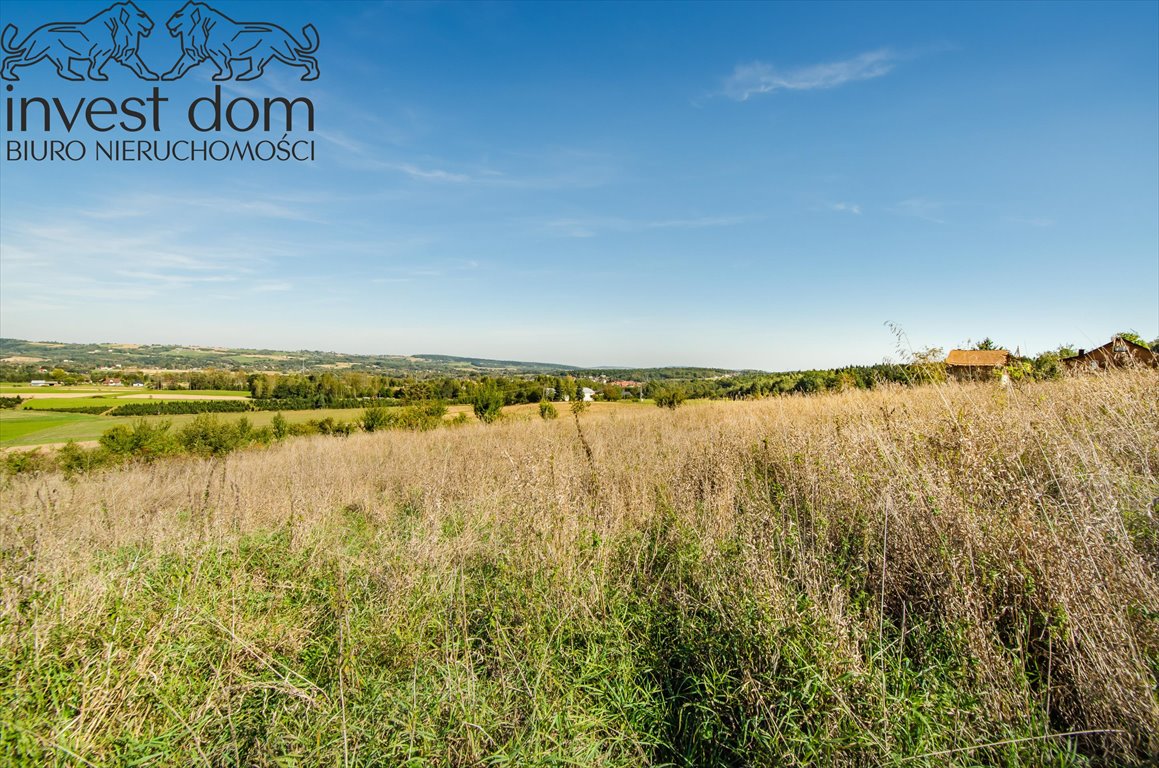 Działka rolna na sprzedaż Mszanka  9 500m2 Foto 7