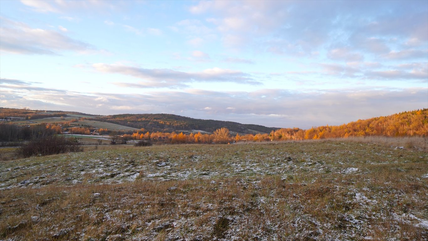 Działka rolna na sprzedaż Wapienne  9 700m2 Foto 2