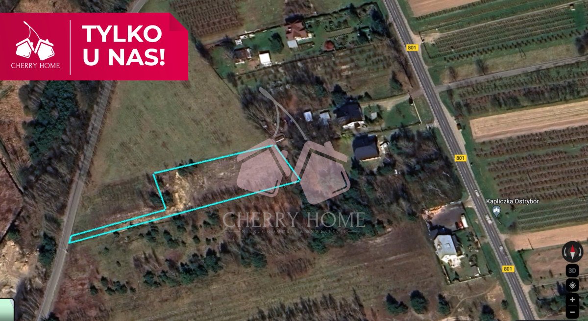 Działka budowlana na sprzedaż Goźlin Górny  3 750m2 Foto 1