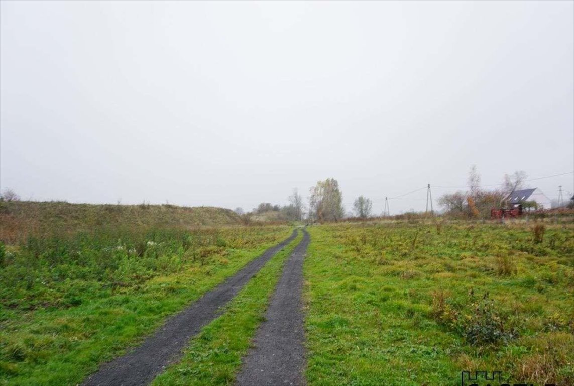 Działka rolna na sprzedaż Bronowo  3 000m2 Foto 3