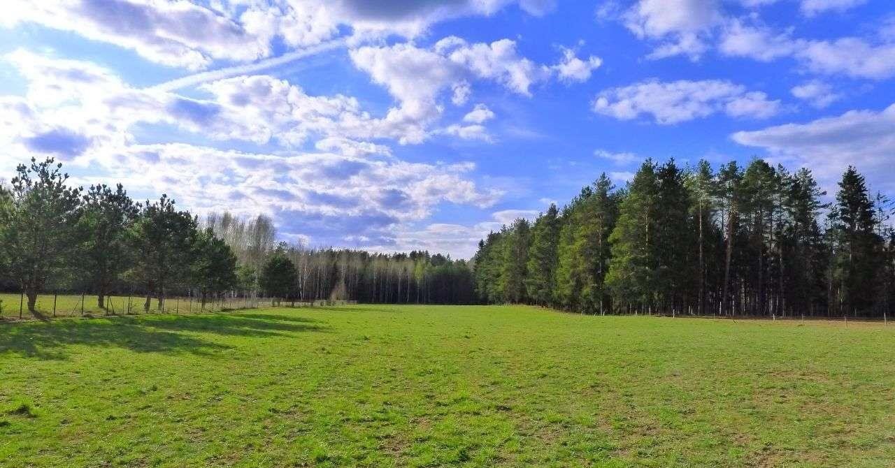 Działka rolna na sprzedaż Walne  3 500m2 Foto 10