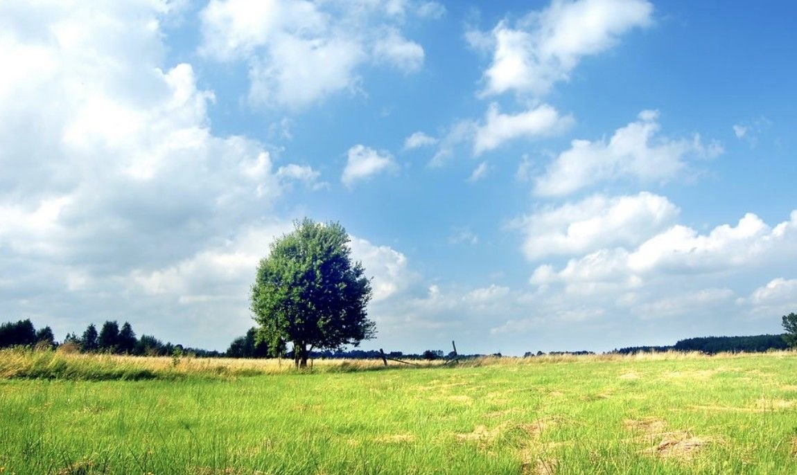 Działka budowlana na sprzedaż Juchnowiec Dolny  1 000m2 Foto 1