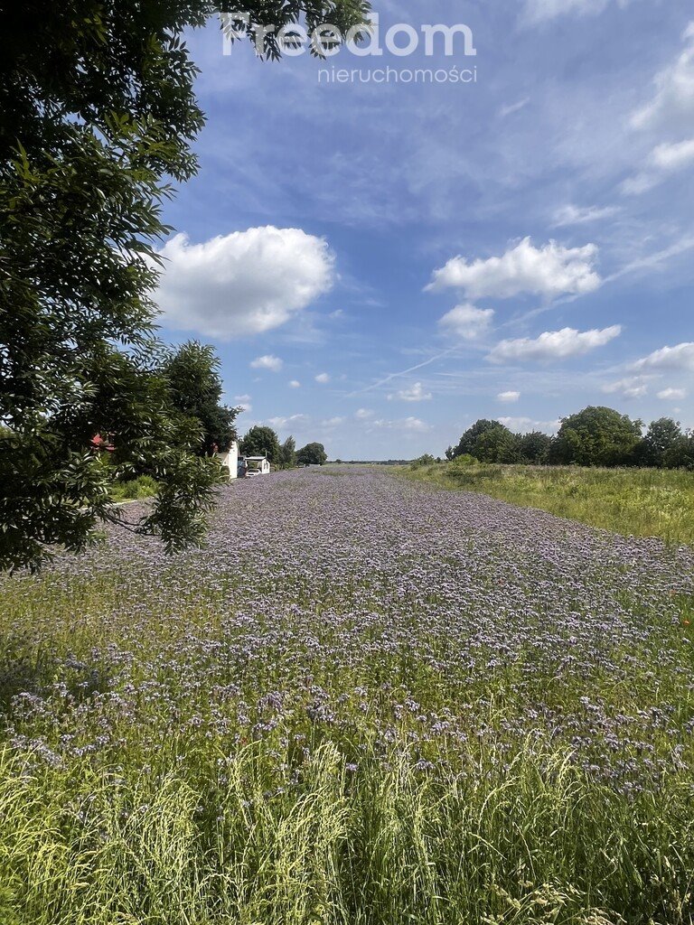 Działka komercyjna na sprzedaż Świdnik Duży, Świdnik Duży Drugi  3 500m2 Foto 1