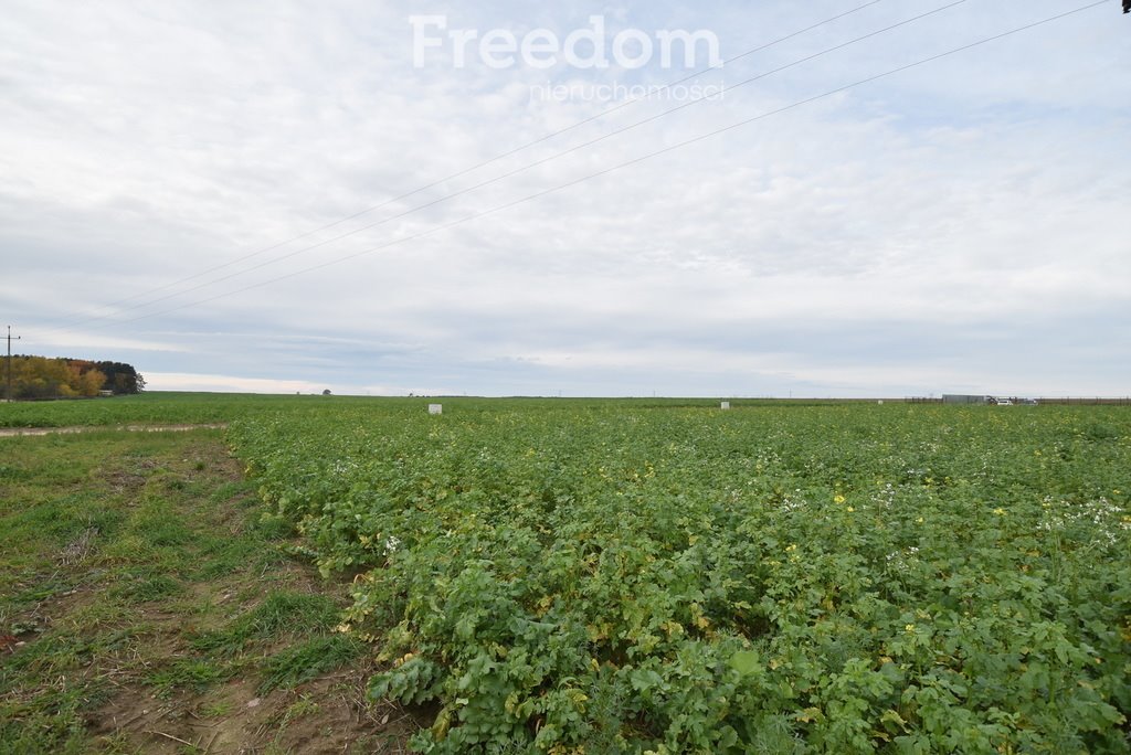 Działka budowlana na sprzedaż Świerczów  1 320m2 Foto 5