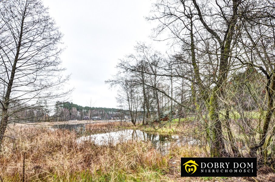 Działka budowlana na sprzedaż Augustów, Wojciech  7 000m2 Foto 9