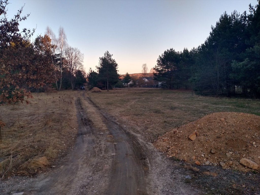 Działka inna na sprzedaż Daleszyce, Cisów  8 100m2 Foto 15