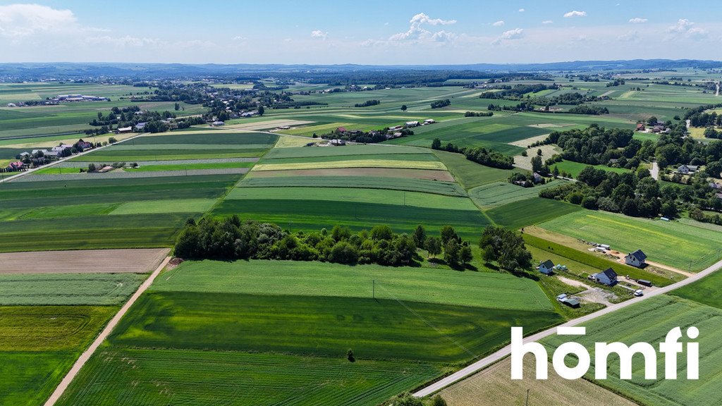 Działka budowlana na sprzedaż Poręba Dzierżna  10 037m2 Foto 3