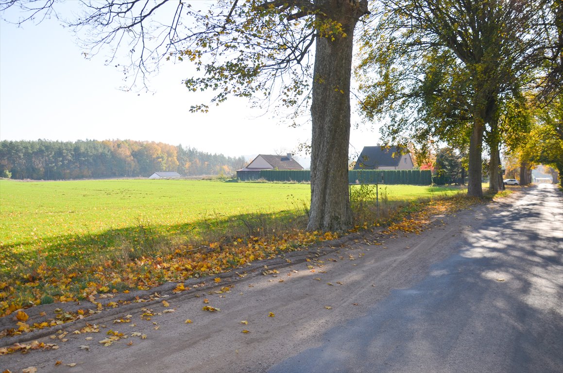 Działka siedliskowa na sprzedaż Borkowo  3 000m2 Foto 13