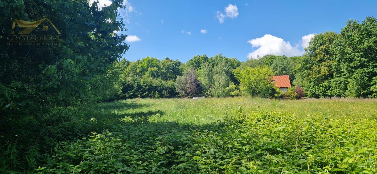 Działka 0,9875ha z stawem, strumyczkiem i uzbrojeniem Bojanice  9 875m2 Foto 1