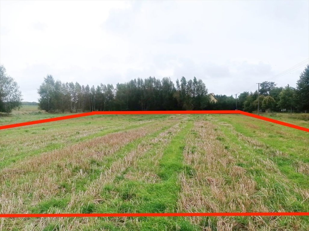 Działka rolna z warunkami zabudowy pod dom w Morowie Morowo, Morowo  4 950m2 Foto 1