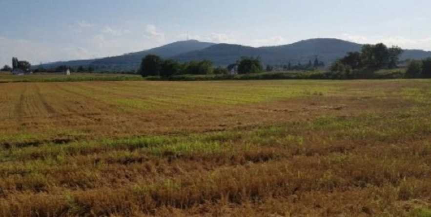 Atrakcyjna działka budowlana z widokiem na góry, 1000 m² Sobótka  1 000m2 Foto 1