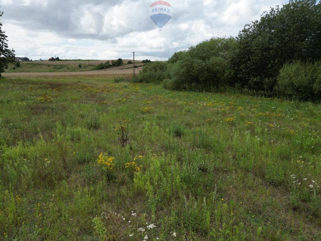 Działka rolna na sprzedaż Ełganowo  20 000m2 Foto 2