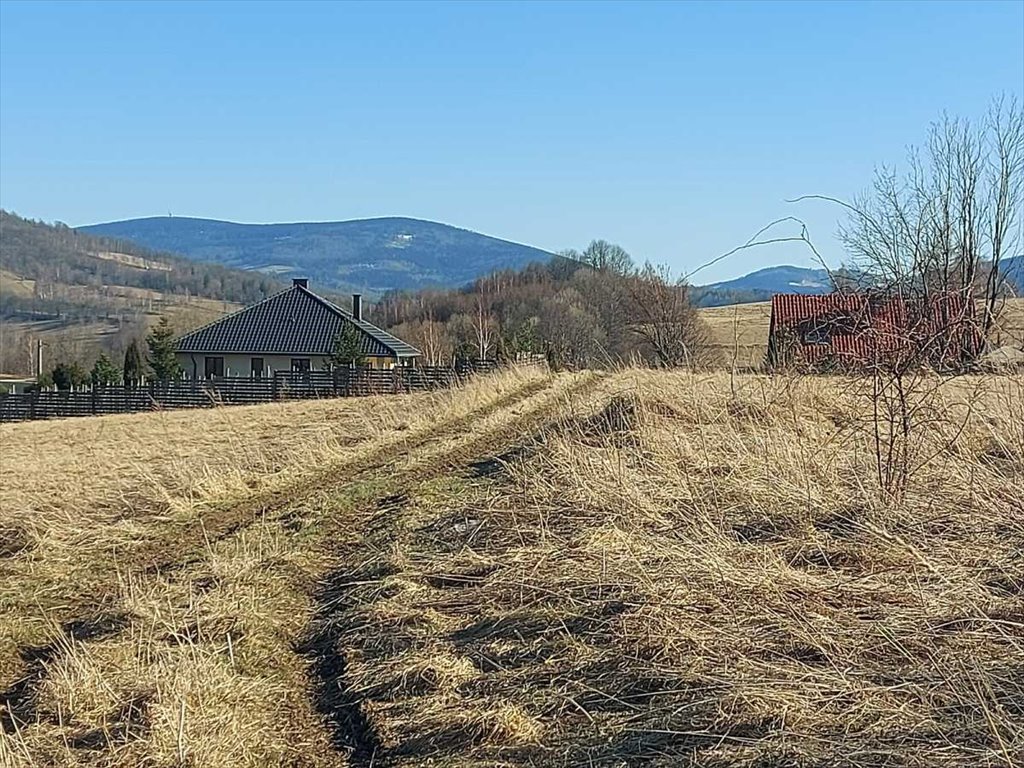 Działka inna na sprzedaż Walim, Niedźwiedzica  1 979m2 Foto 1