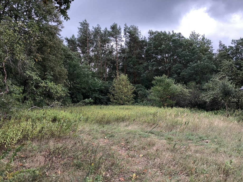 Działka budowlana na sprzedaż Otwock, Mlądzka 3 700m2 Foto 1 Działka budowlana na sprzedaż Otwock, Mlądzka 3 700m2 Foto 1