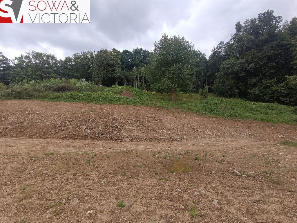 Działka budowlana na sprzedaż Dziećmorowice  6 052m2 Foto 4