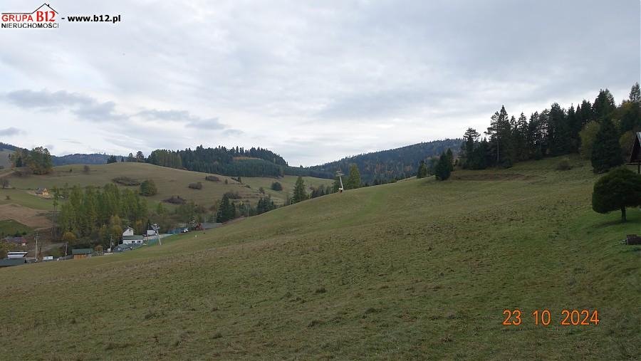 Działka rolna na sprzedaż Szczawnica, Szczawnica, Jaworki  5 015m2 Foto 4