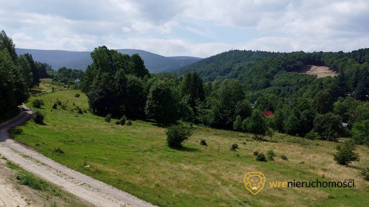 Działka budowlana na sprzedaż Krobica  9 929m2 Foto 5