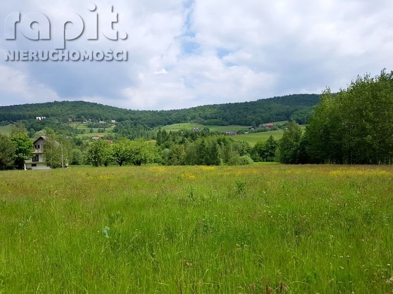 Działka budowlana na sprzedaż Zasań 4 002m2 Foto 1 Działka budowlana na sprzedaż Zasań 4 002m2 Foto 1