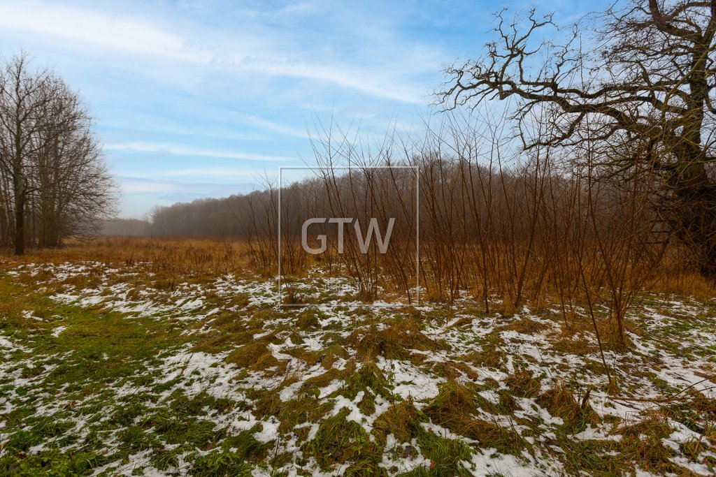 Działka 3001 m² z warunkami pod zabudowę w Lisówku Lisówek  3 001m2 Foto 1