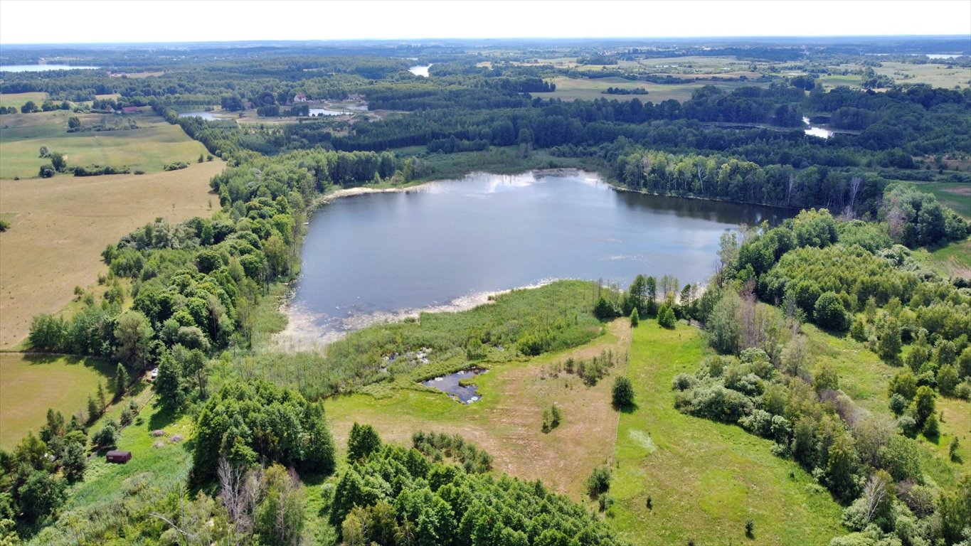 Działka rolna na sprzedaż Elganowo  10 700m2 Foto 4