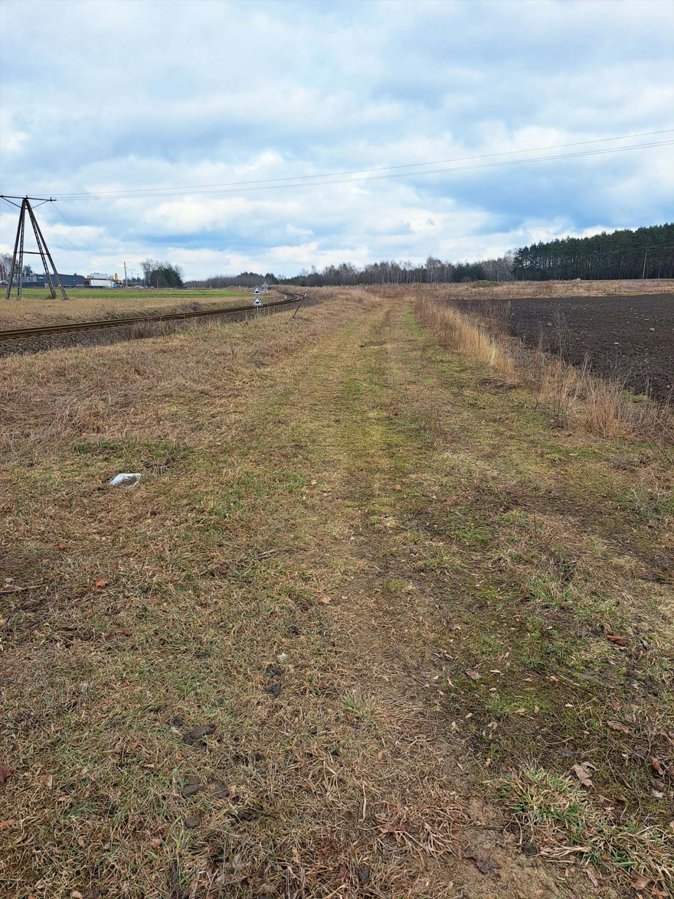 Działka przemysłowo-handlowa na sprzedaż Bolechowo, Bolechowo, Krańcowa  6 215m2 Foto 6