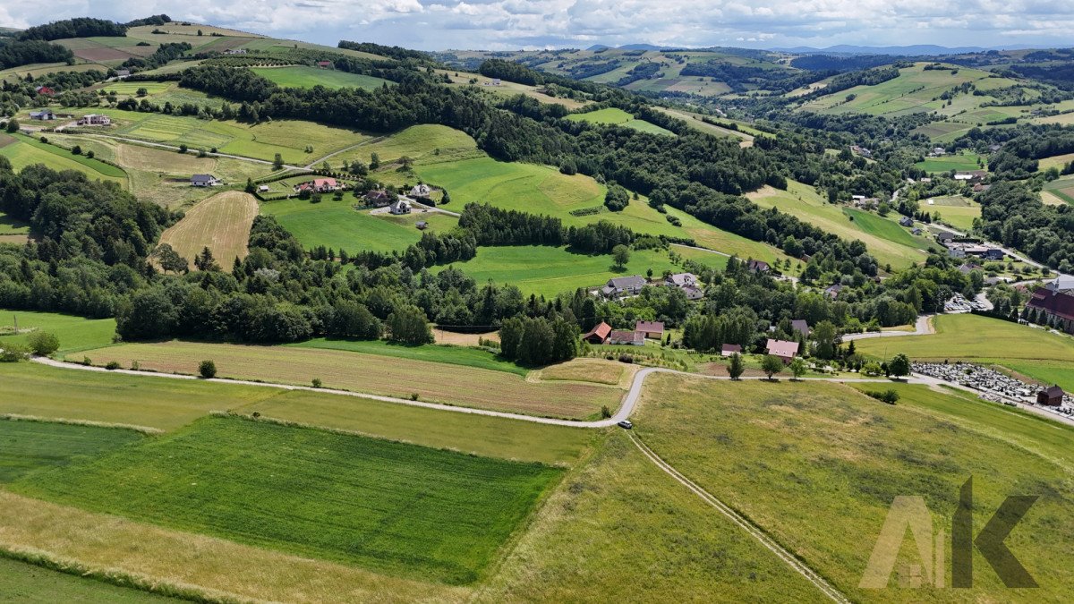 Działka budowlana na sprzedaż Sienna  3 100m2 Foto 11