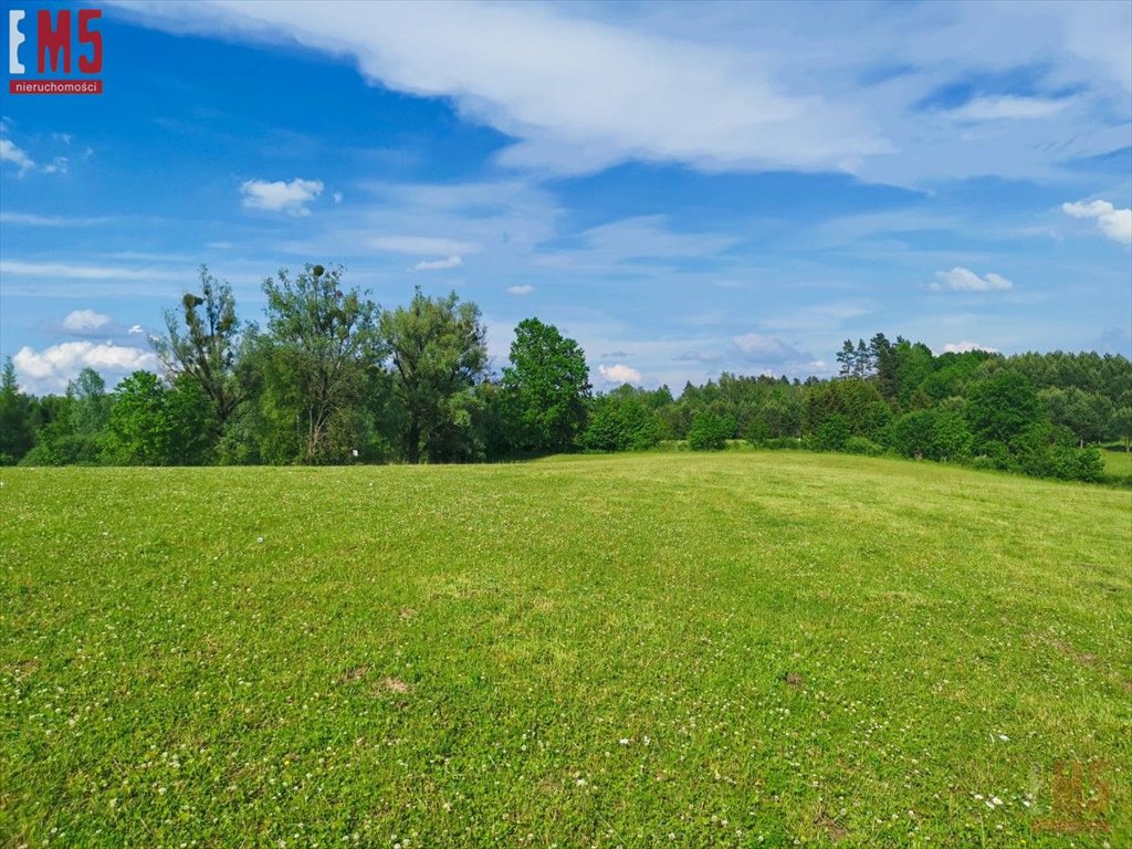 Działka inna na sprzedaż Wenecja  1 500m2 Foto 3