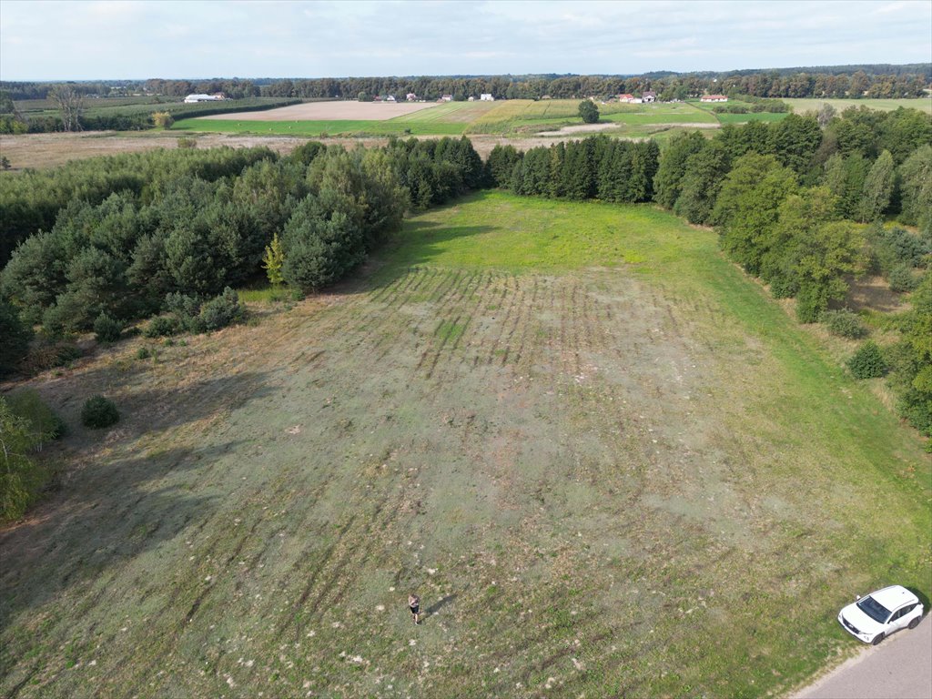 Działka budowlana na sprzedaż Nowe Paski  3 002m2 Foto 2