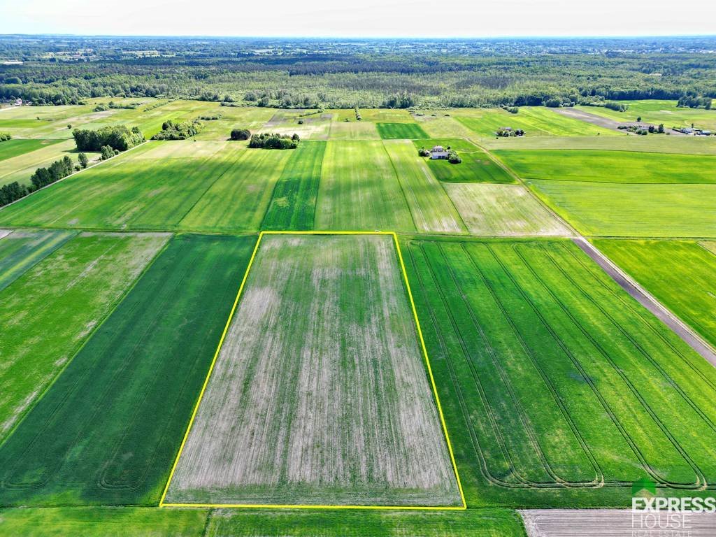 Działka rolna na sprzedaż Świerszczów  21 900m2 Foto 1