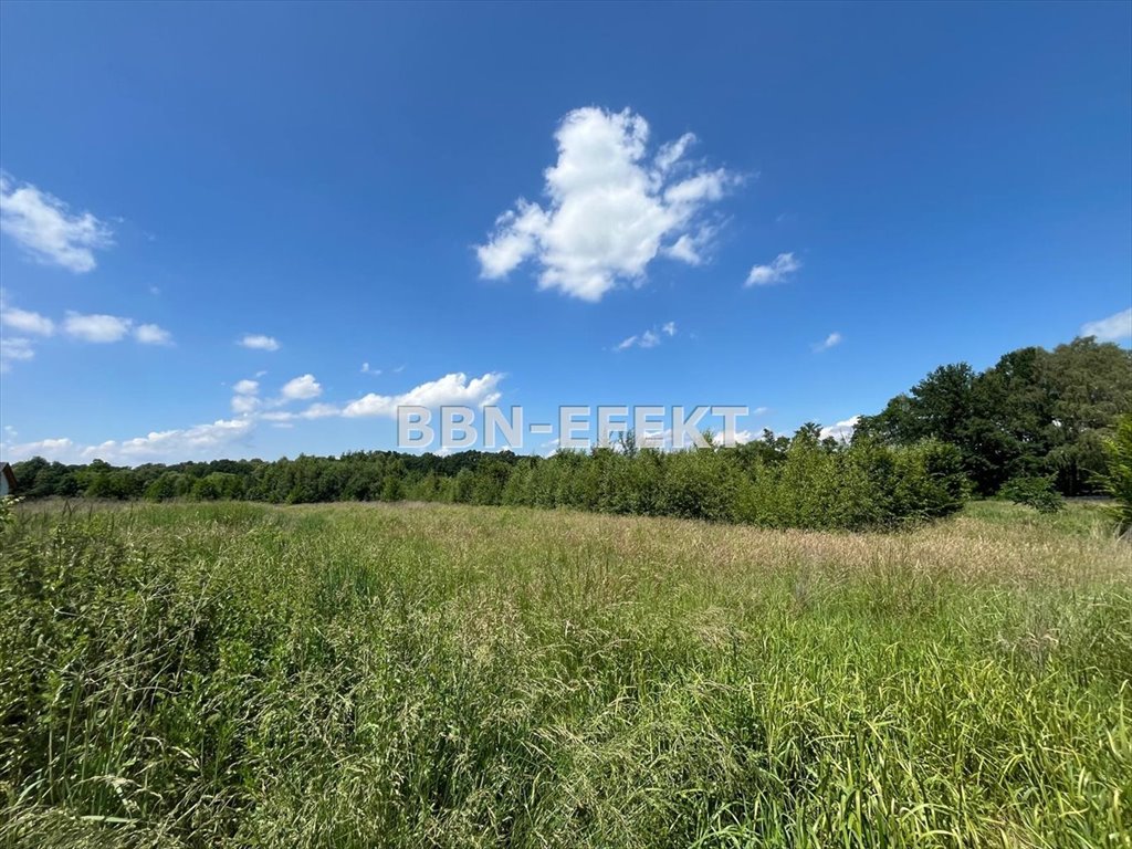 Działka budowlana na sprzedaż Pisarzowice  1 100m2 Foto 5