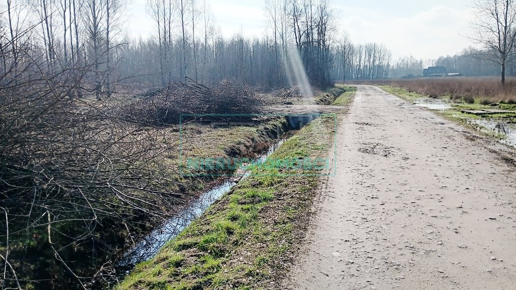 Działka leśna z prawem budowy na sprzedaż Jaktorów  8 700m2 Foto 6