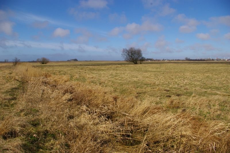 Działka inna na sprzedaż Domasławice, Domasławice  9 500m2 Foto 8