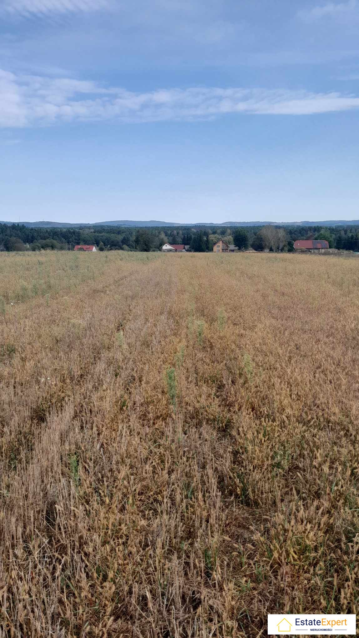 Dom na sprzedaż Drogowle  112m2 Foto 2