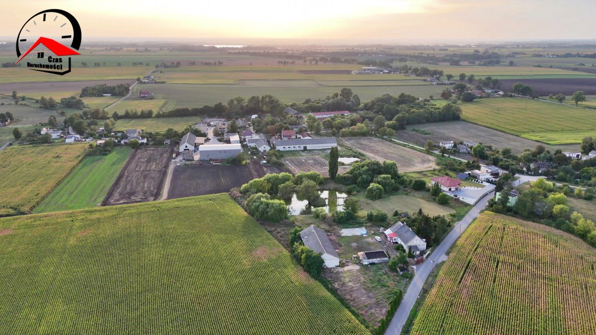 Lokal użytkowy na sprzedaż Chełmiczki  380m2 Foto 10