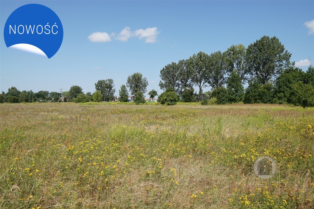 Działka komercyjna na sprzedaż Deszczno  1 985m2 Foto 5