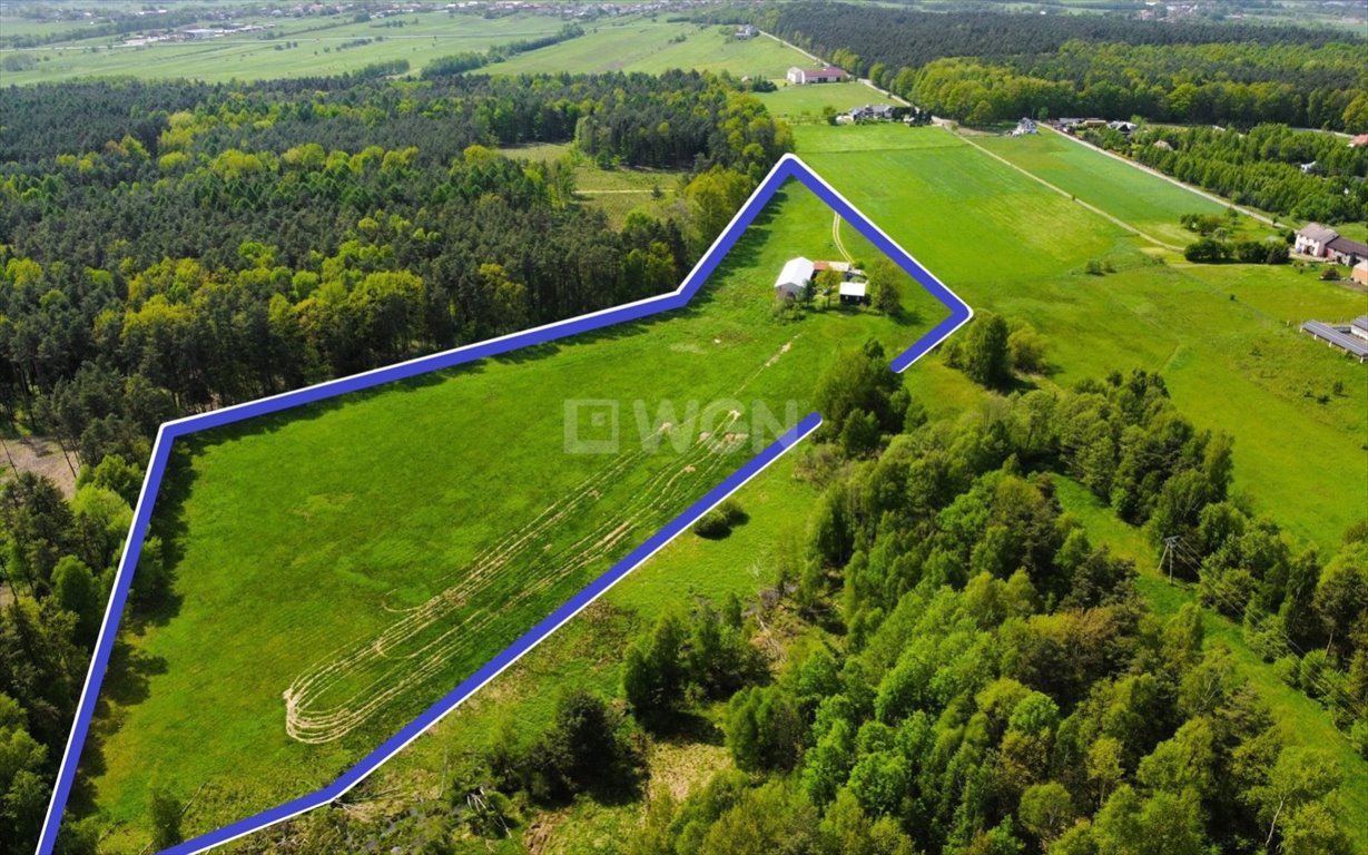 Działka budowlana na sprzedaż Koziegłowy, Rzeniszów  47 000m2 Foto 1