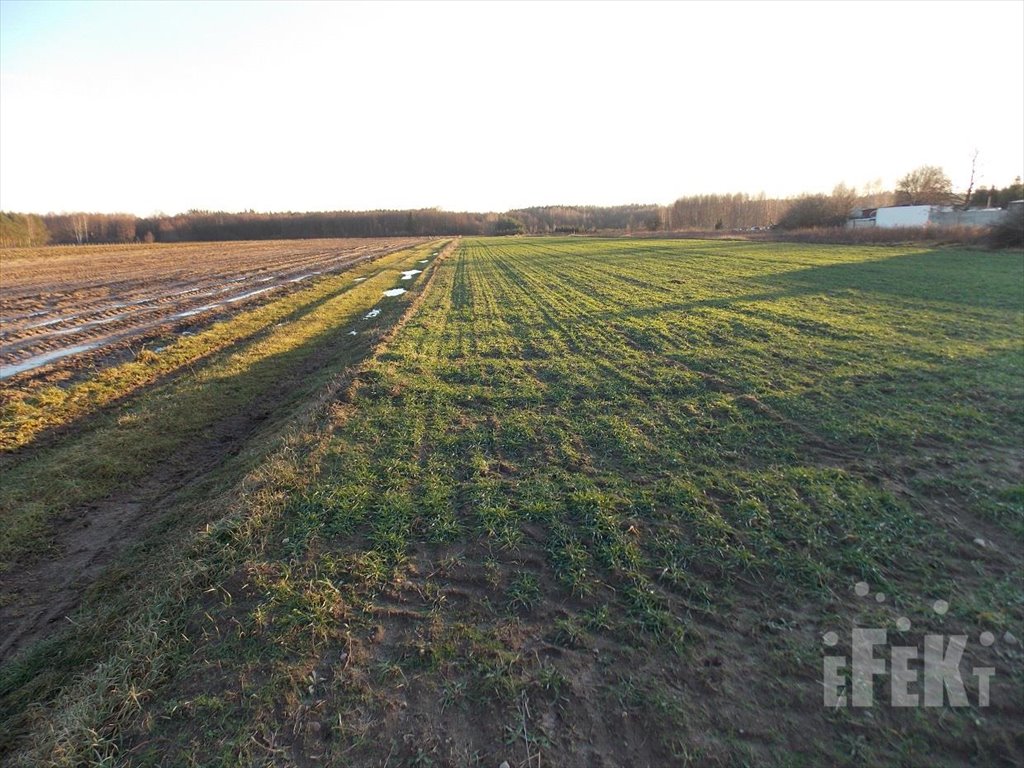 Działka rolna na sprzedaż Lisowola  10 900m2 Foto 2