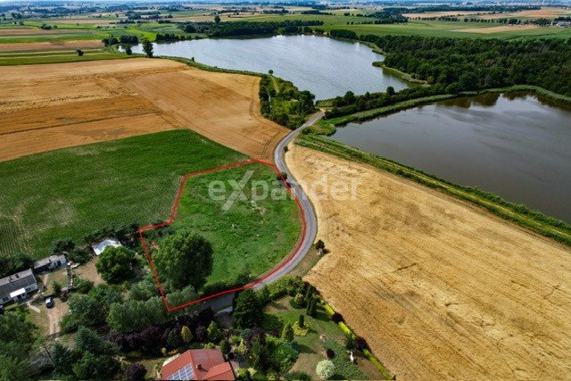 Działka budowlana na sprzedaż Białe Piątkowo  4 750m2 Foto 6