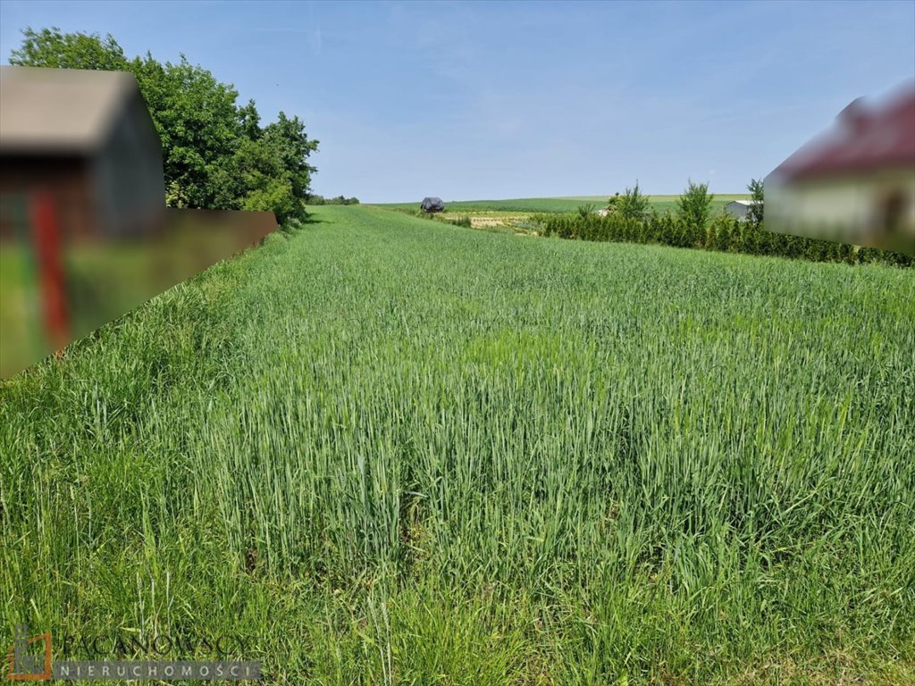 Działka budowlana na sprzedaż Wola Więcławska  5 608m2 Foto 1