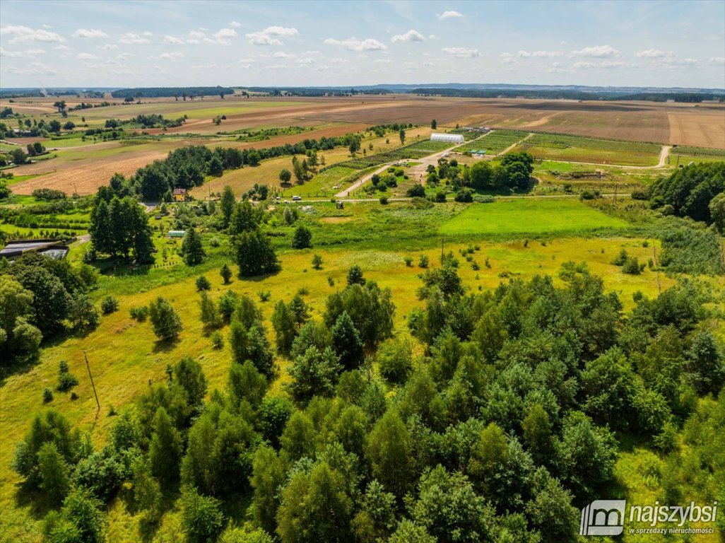 Działka rolna na sprzedaż Chojna  23 200m2 Foto 3