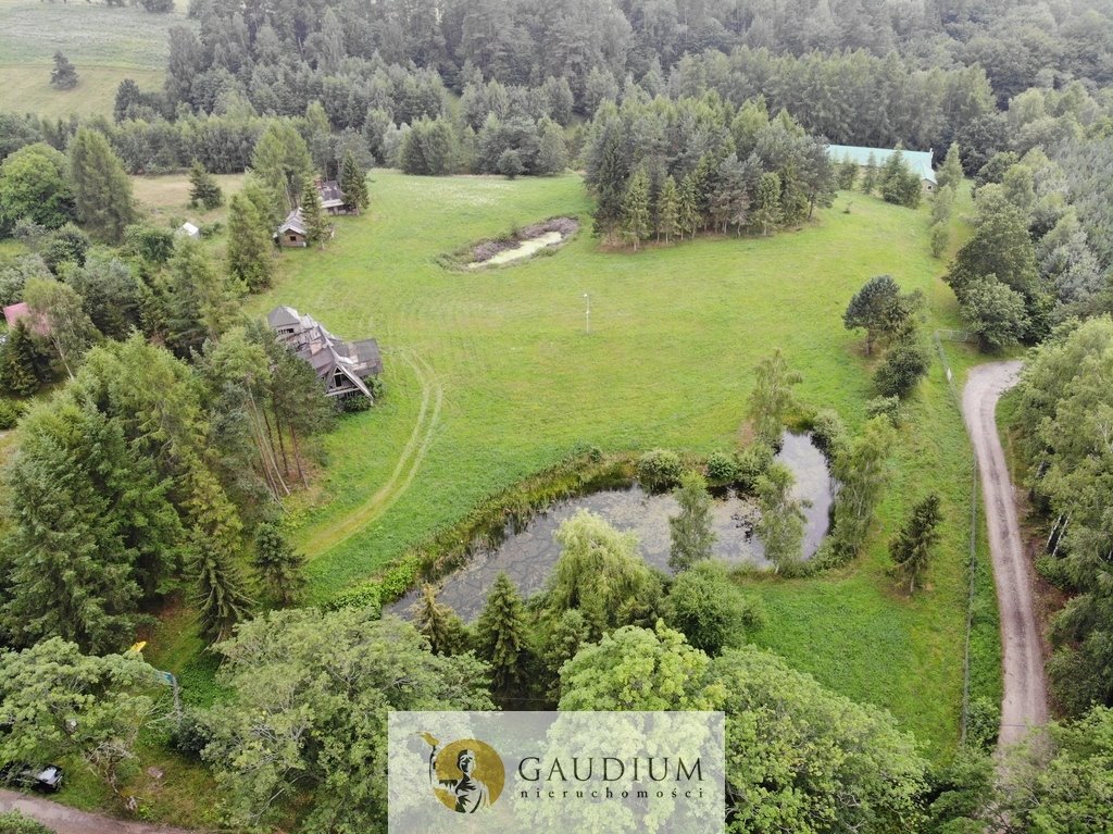 Do sprzedania działka 29 856 m² z 3 stawami i lasem w Kaszubach Pomlewo  29 856m2 Foto 1