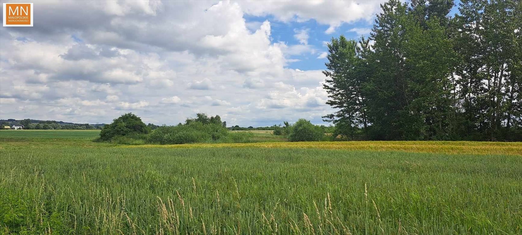 Działka rekreacyjna na sprzedaż Grobla  2 700m2 Foto 5