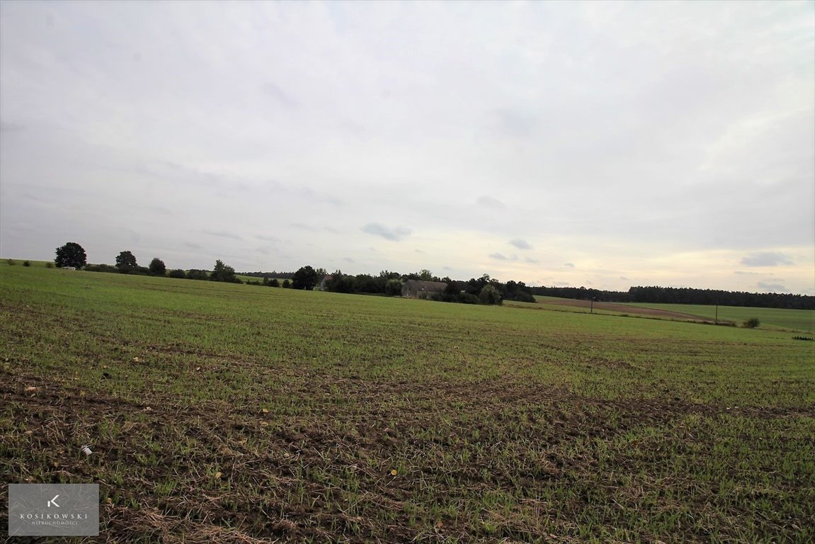 Zapraszam do zakupu działek 10-11 arów w Dziadowej Kłodzie Dziadowa Kłoda, Gmina Dziadowa Kłoda  1 000m2 Foto 1