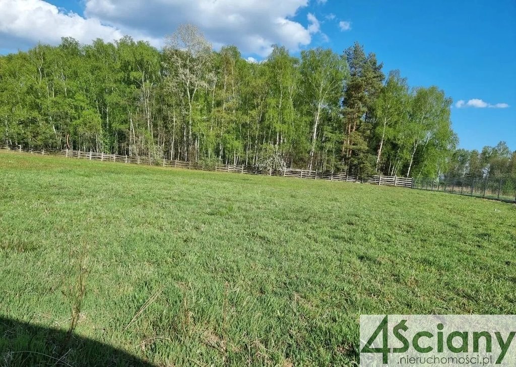 Działka budowlana na sprzedaż Opypy  3 000m2 Foto 3