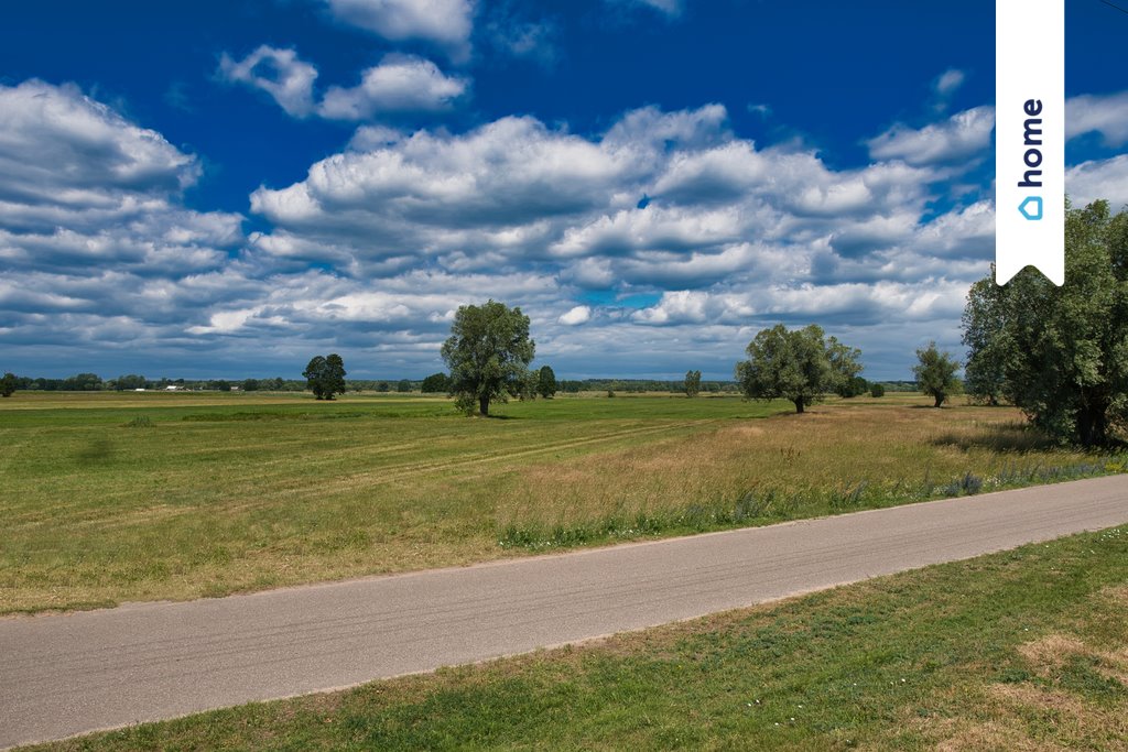 Działka siedliskowa na sprzedaż Wilczogęby  10 986m2 Foto 8