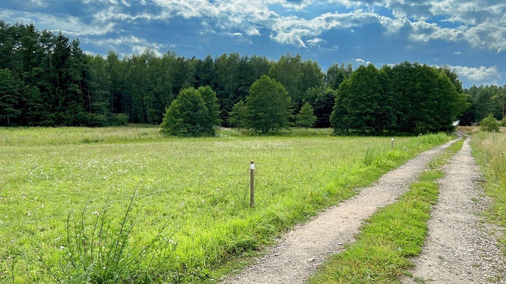 Działka rolna na sprzedaż Henrykowo  24 000m2 Foto 14