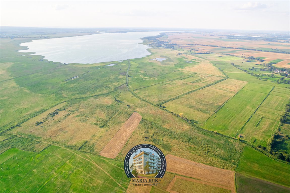 Działka gospodarstwo rolne na sprzedaż Ryszewo  13 500m2 Foto 13