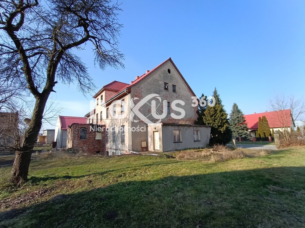 Lokal użytkowy na sprzedaż Dąbrowa  1 230m2 Foto 1